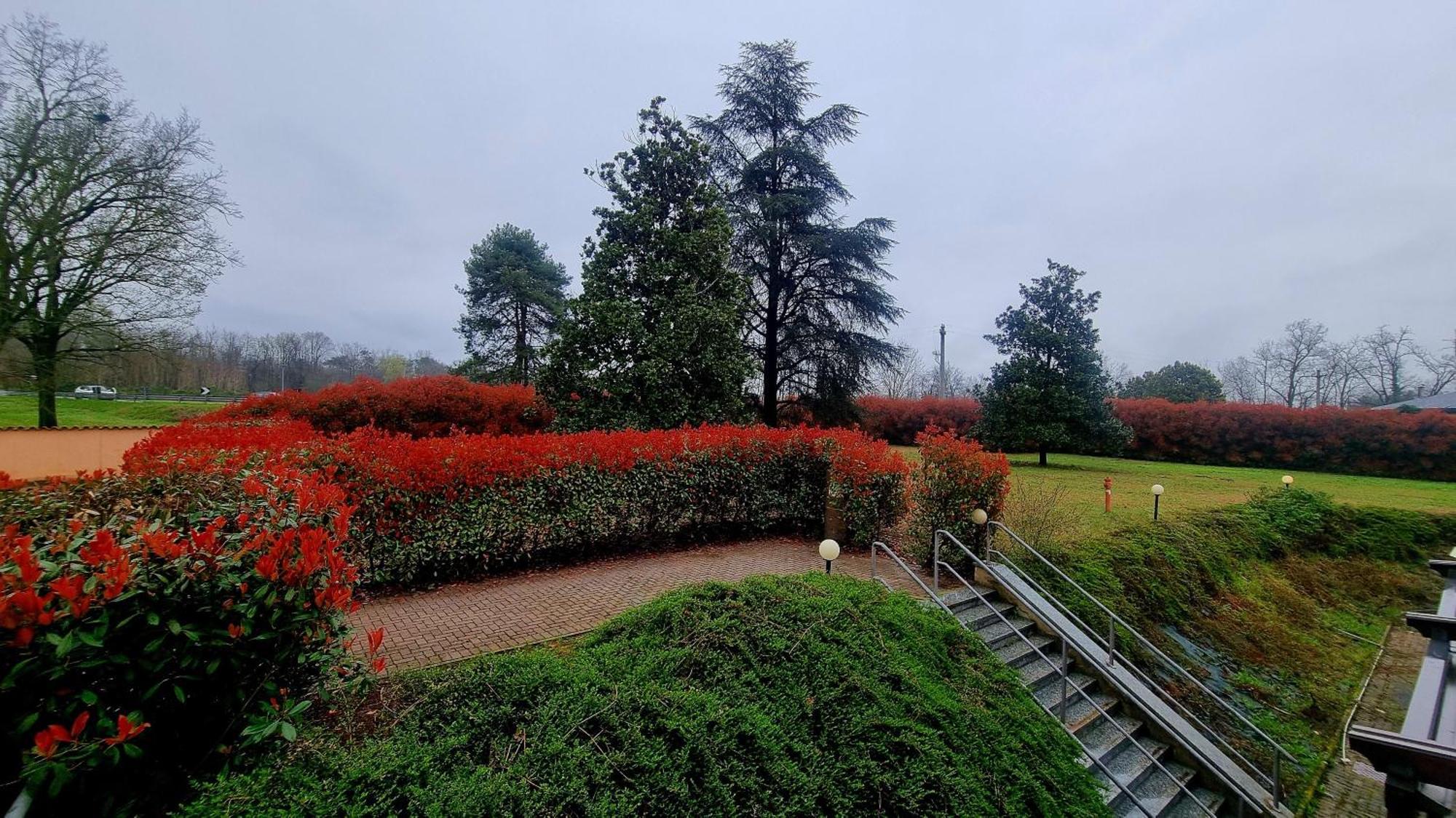 Hotel Villa Delle Rose - Malpensa Oleggio Buitenkant foto
